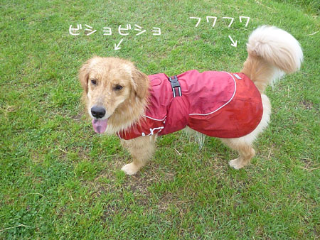20120518.jpg