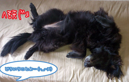 20120606.jpg