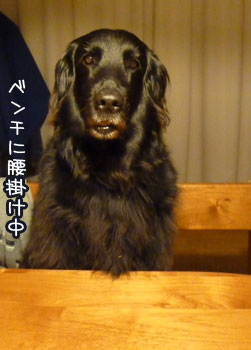 20120702.jpg