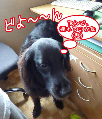 20120703.jpg