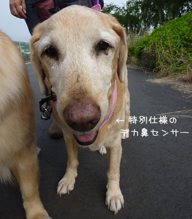 20120704.jpg