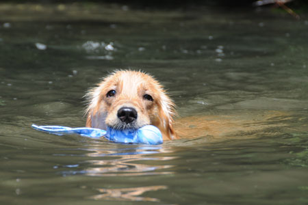 20120705.jpg