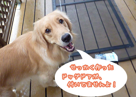 20120708-02.jpg