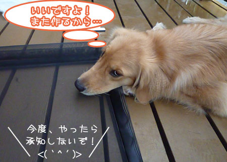 20120708-03.jpg