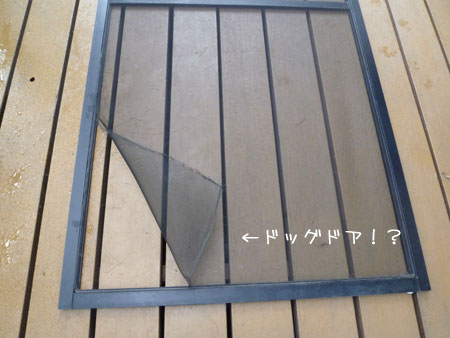 20120708.jpg