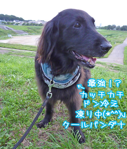 20120724.jpg