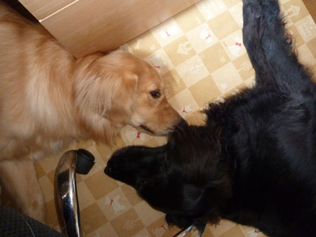20120801.jpg