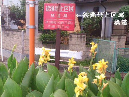 20120804.jpg