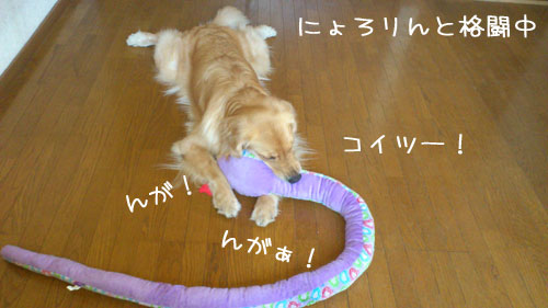 20120826.jpg