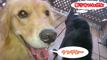 20120902.jpg