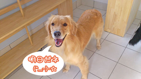 20120903.jpg