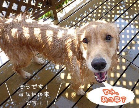 20120914.jpg
