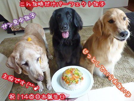 20120917-02.jpg