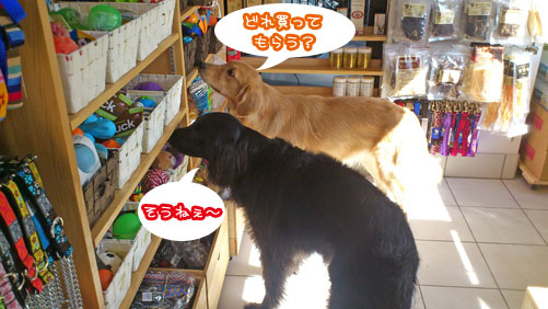 20121013.jpg