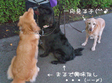 20121018-02.jpg