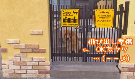 20121101-02.jpg