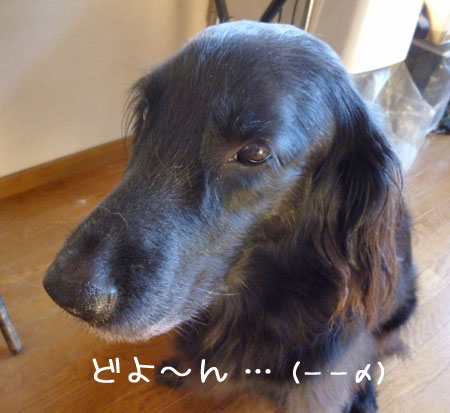 20121104.jpg