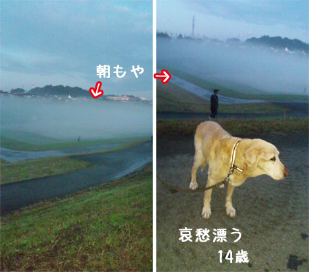 20121107.jpg