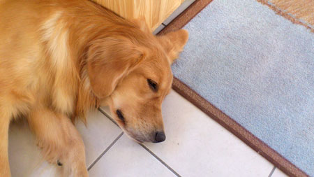 20121112.jpg