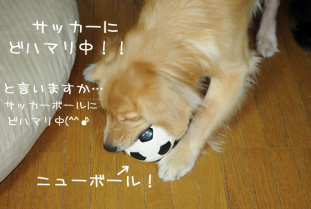 20121120.jpg