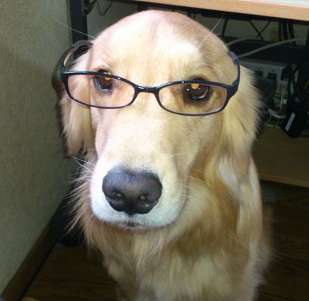 20121124-02.jpg