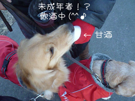 20130102-02.jpg