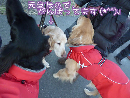 20130102-03.jpg