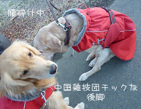 20130102-05.jpg