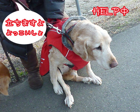 20130102-06.jpg