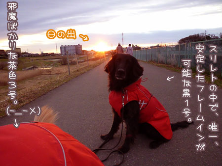 20130103.jpg