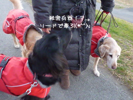 20130104-02.jpg