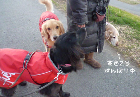 20130104.jpg