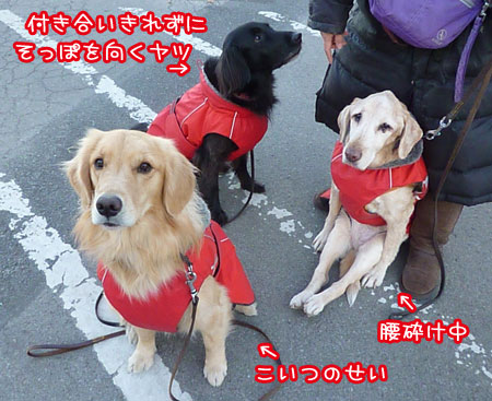 20130105-02.jpg