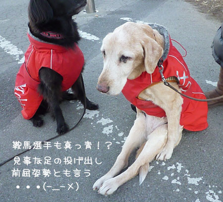20130105-03.jpg