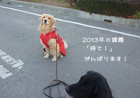 20130105-04.jpg