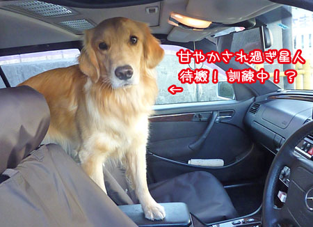 20130106.jpg