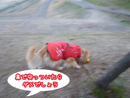 20130108-02.jpg