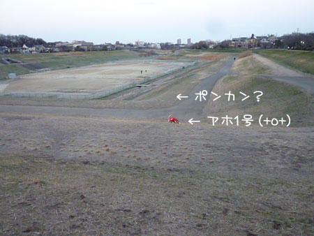 20130108-03.jpg