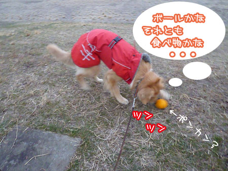 20130108.jpg