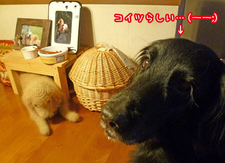 20130109-02.jpg