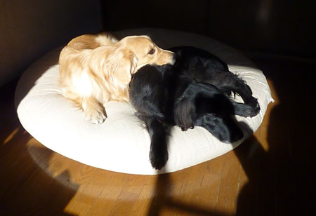 20130111.jpg
