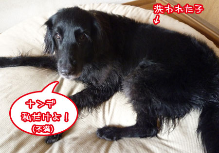20130112.jpg