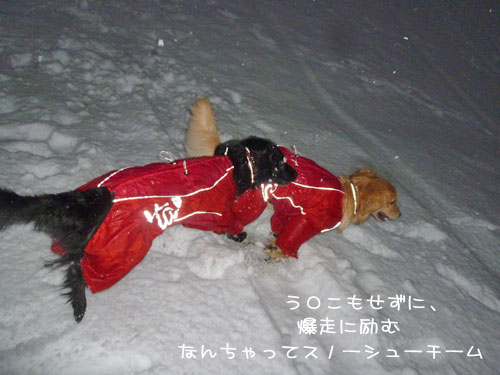 20130115-02.jpg