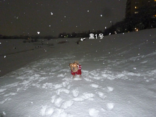 20130115-03.jpg