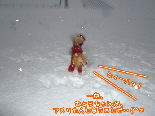 20130115.jpg