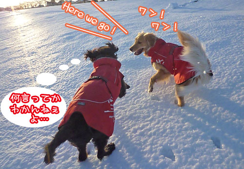 20130116.jpg