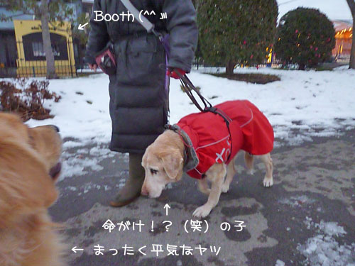 20130117.jpg