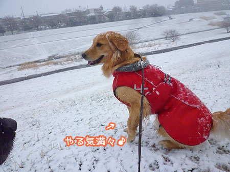 20130206-02.jpg