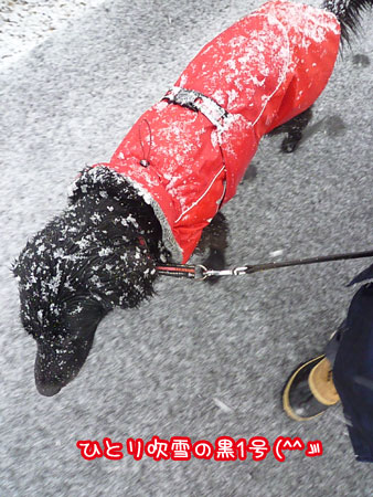 20130206-04.jpg