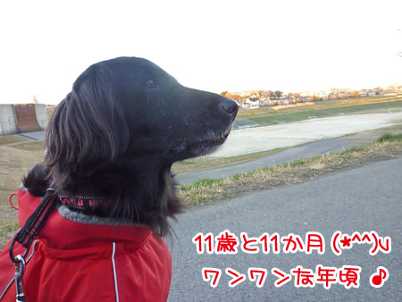 20130210.jpg